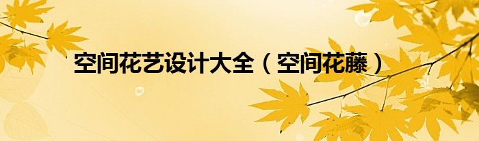 空间花艺设计大全(空间花藤)