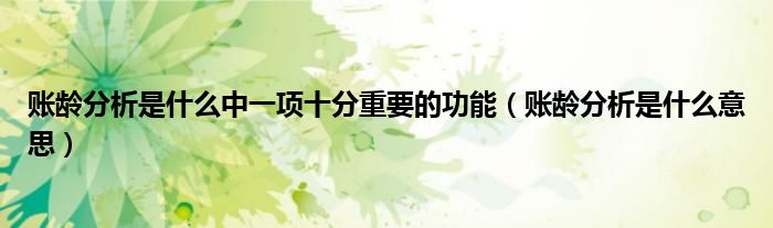 账龄分析是什么中一项十分重要的功能(账龄分析是什么意思)