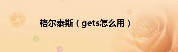 格尔泰斯(gets怎么用)