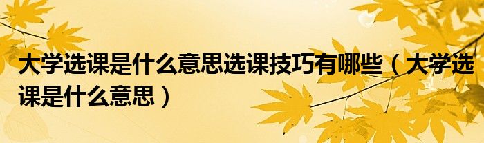 大学选课是什么意思选课技巧有哪些(大学选课是什么意思)