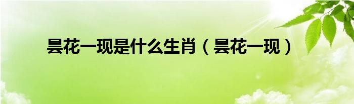 昙花一现是什么生肖(昙花一现)