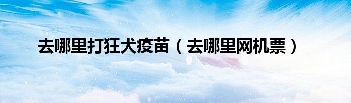 去哪里打狂犬疫苗(去哪里网机票)