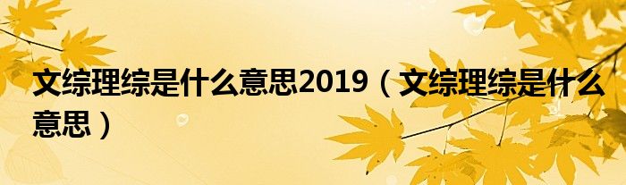 文综理综是什么意思2019(文综理综是什么意思)