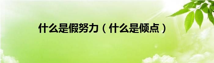 什么是假努力(什么是倾点)