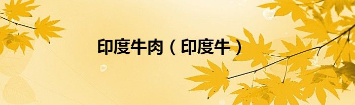印度牛肉（印度牛）