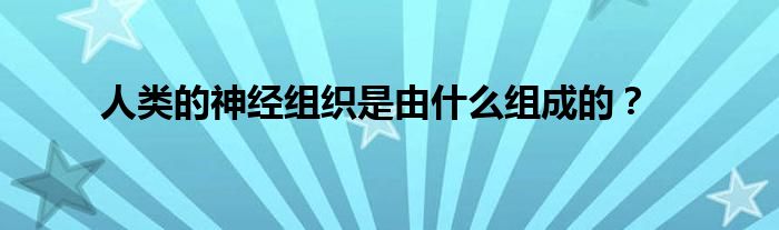 人类的神经组织是由什么组成的?