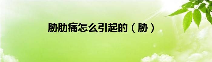 胁肋痛怎么引起的(胁)