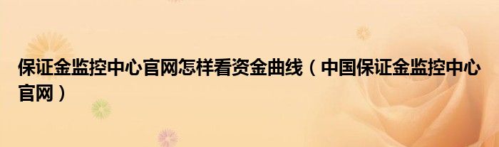 保证金监控中心官网怎样看资金曲线(中国保证金监控中心官网)