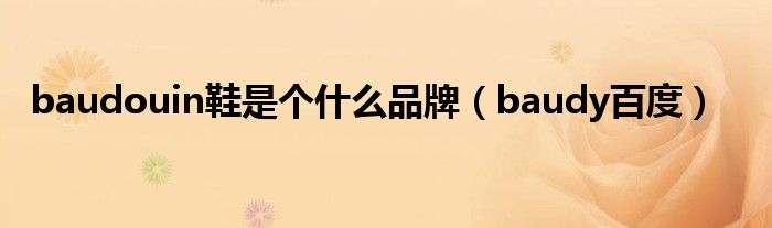 baudouin鞋是个什么品牌(baudy百度)
