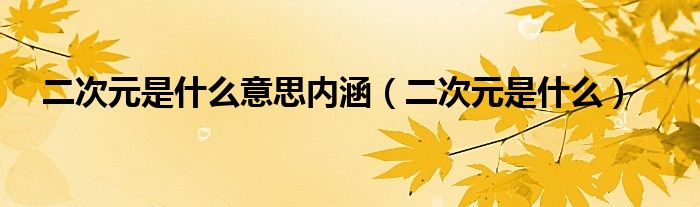 二次元是什么意思内涵(二次元是什么)