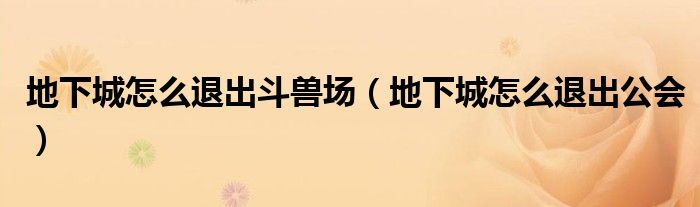 地下城怎么退出斗兽场(地下城怎么退出公会)