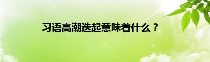 习语高潮迭起意味着什么?