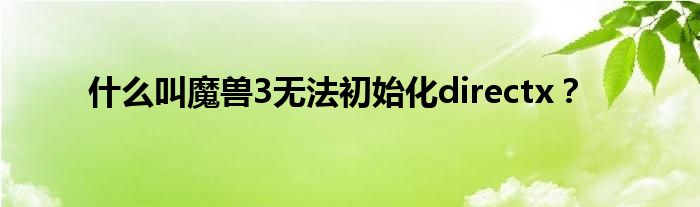 什么叫魔兽3无法初始化directx?