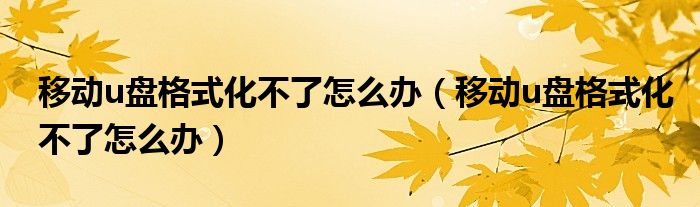 移动u盘格式化不了怎么办(移动u盘格式化不了怎么办)