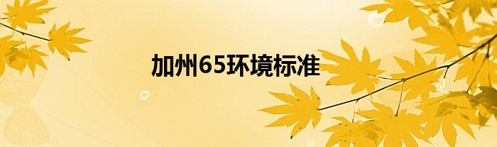 加州65环境标准