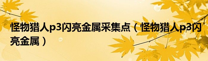 怪物猎人p3闪亮金属采集点(怪物猎人p3闪亮金属)