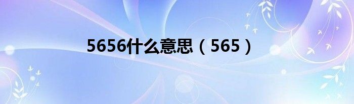5656什么意思(565)