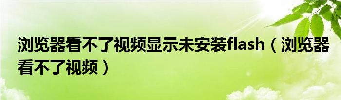 浏览器看不了视频显示未安装flash(浏览器看不了视频)