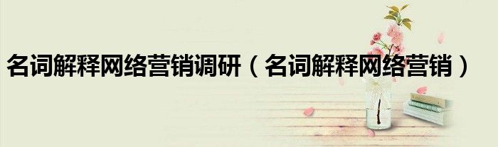 名词解释网络营销调研（名词解释网络营销）