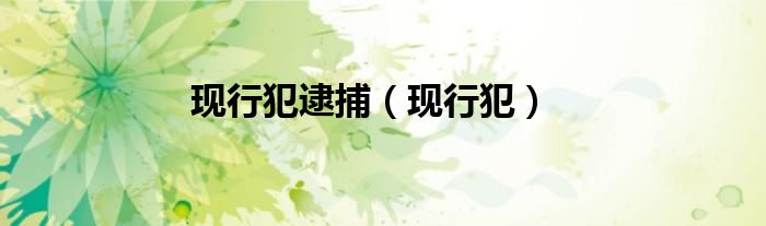 现行犯逮捕（现行犯）