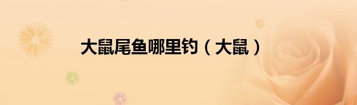 大鼠尾鱼哪里钓（大鼠）