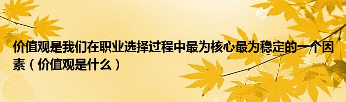 价值观是我们在职业选择过程中最为核心最为稳定的一个因素(价值观是什么)