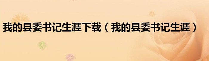 我的县委书记生涯下载(我的县委书记生涯)