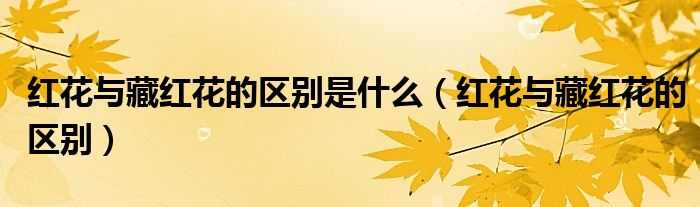 红花与藏红花的区别是什么(红花与藏红花的区别)