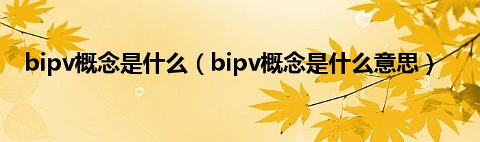 bipv概念是什么(bipv概念是什么意思)