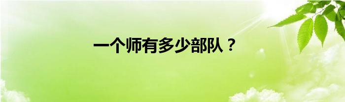 一个师有多少部队？