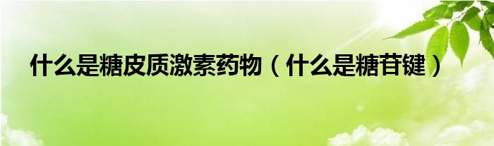 什么是糖皮质激素药物(什么是糖苷键)