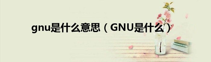 gnu是什么意思(GNU是什么)