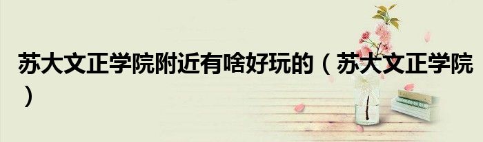 苏大文正学院附近有啥好玩的(苏大文正学院)