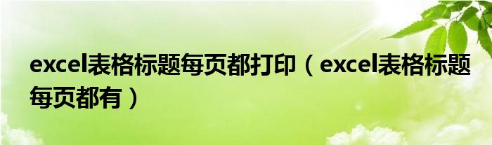 excel表格标题每页都打印(excel表格标题每页都有)