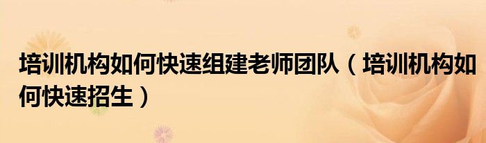 培训机构如何快速组建老师团队(培训机构如何快速招生)