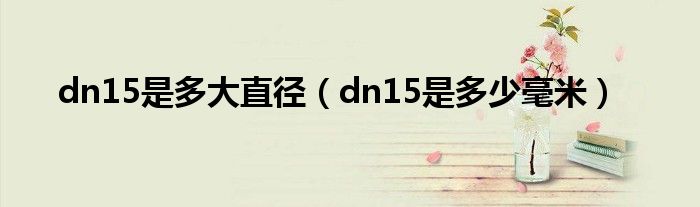 dn15是多大直径(dn15是多少毫米)