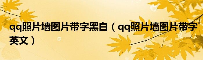 qq照片墙图片带字黑白(qq照片墙图片带字英文)