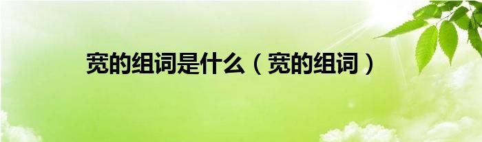 宽的组词是什么（宽的组词）