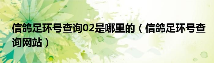 信鸽足环号查询02是哪里的(信鸽足环号查询网站)