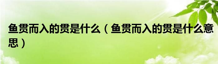 鱼贯而入的贯是什么(鱼贯而入的贯是什么意思)