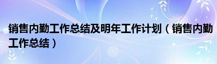销售内勤工作总结及明年工作计划(销售内勤工作总结)