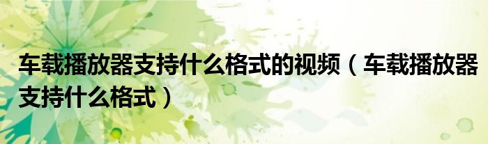 车载播放器支持什么格式的视频(车载播放器支持什么格式)