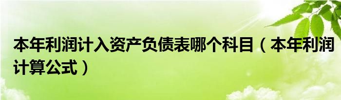 本年利润计入资产负债表哪个科目(本年利润计算公式)