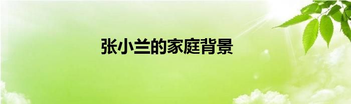 张小兰的家庭背景