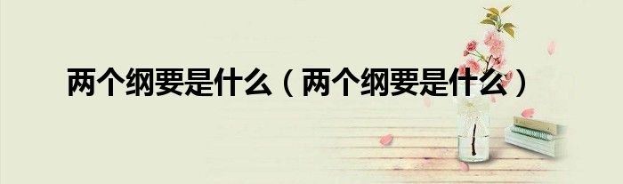 两个纲要是什么(两个纲要是什么)