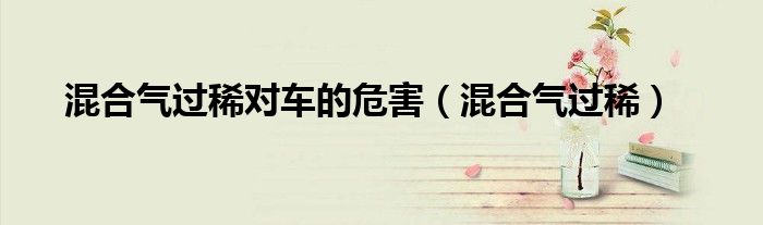 混合气过稀对车的危害(混合气过稀)