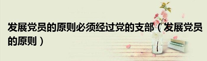 发展党员的原则必须经过党的支部(发展党员的原则)