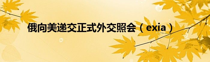 俄向美递交正式外交照会(exia)