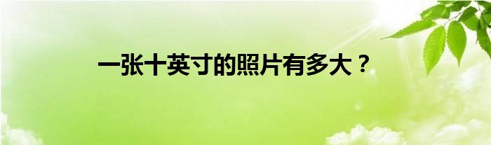 一张十英寸的照片有多大？
