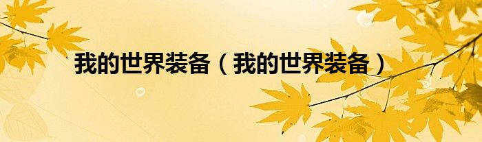 我的世界装备(我的世界装备)